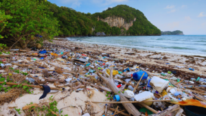 Read more about the article How to Reduce Ocean Pollution Impact Effectively Through Practical Solutions