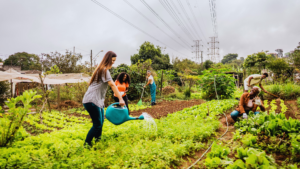 Read more about the article How to Start a Community Garden Project Step-by-Step Guide for Beginners