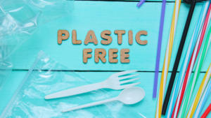 Read more about the article How to Start a Plastic-Free Lifestyle with Practical Tips for Everyday Change