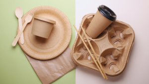 Read more about the article Best Eco-Friendly Party Planning Tips for Sustainable and Memorable Events